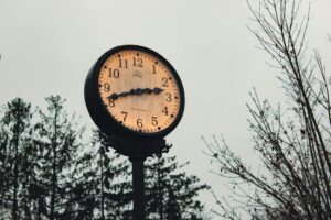 teodora popa lzwuviymuha unsplash